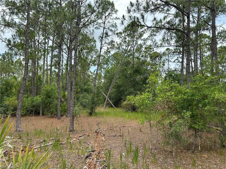 Property Photo: 44th St NE FL 34120