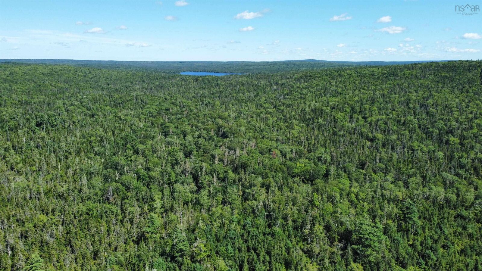 Property Photo:  316 Highway  NS B0H 1M0 