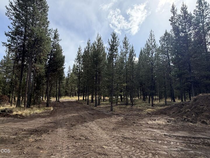 Property Photo: 17114 Indio Road OR 97707