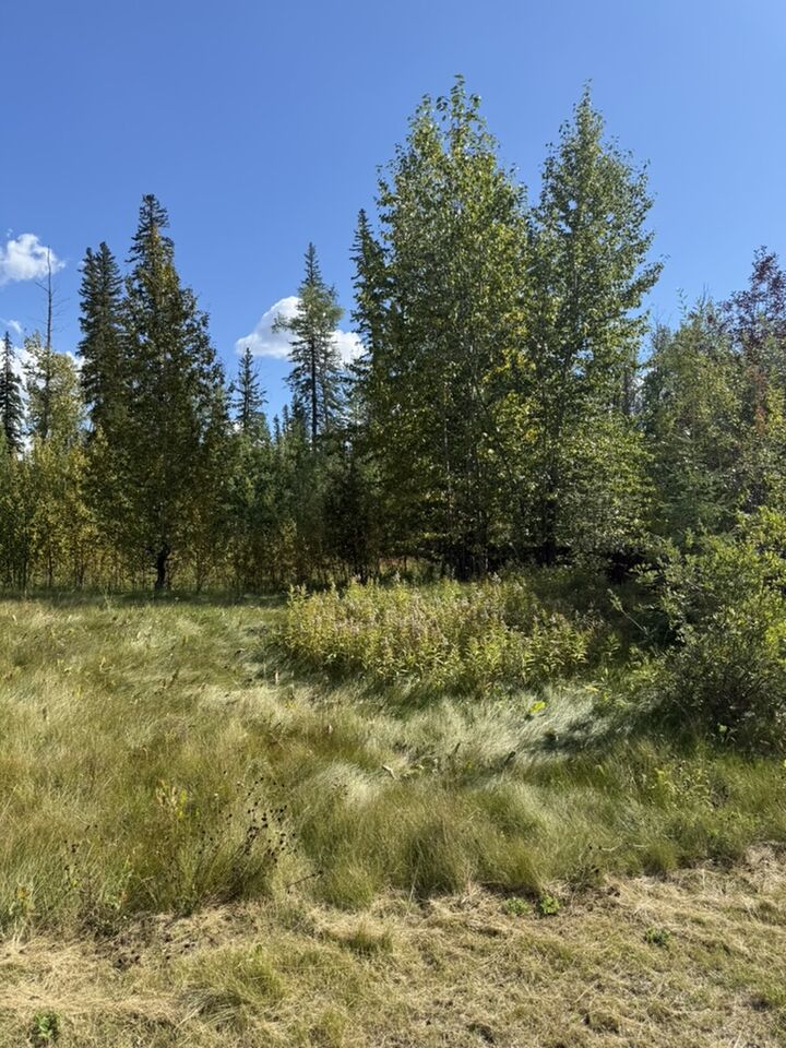 Property Photo:  111 Kinuseo Avenue  BC V0C 2W0 