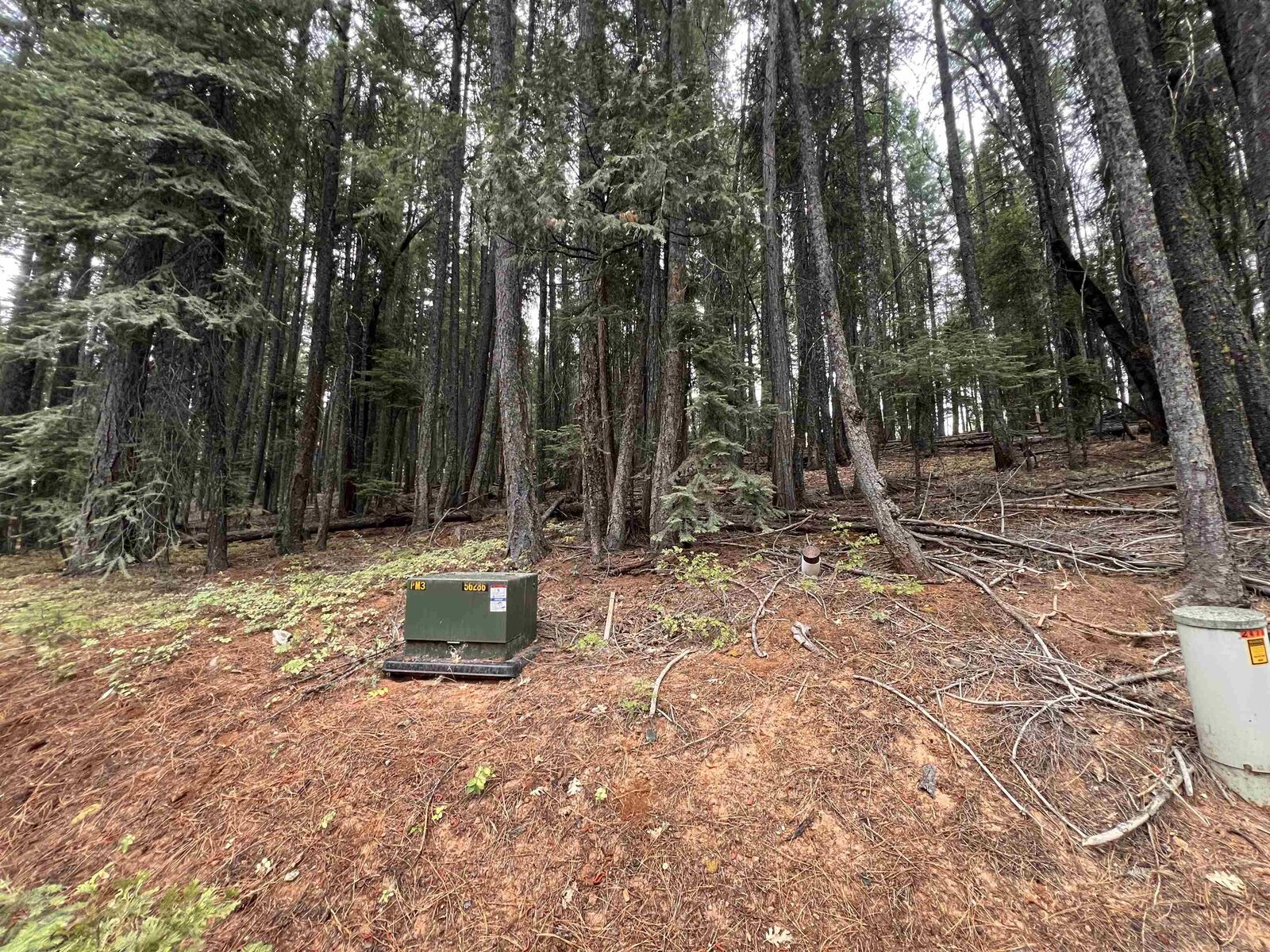 Property Photo: 2471 Shooting Star Lane CA 96122-0000