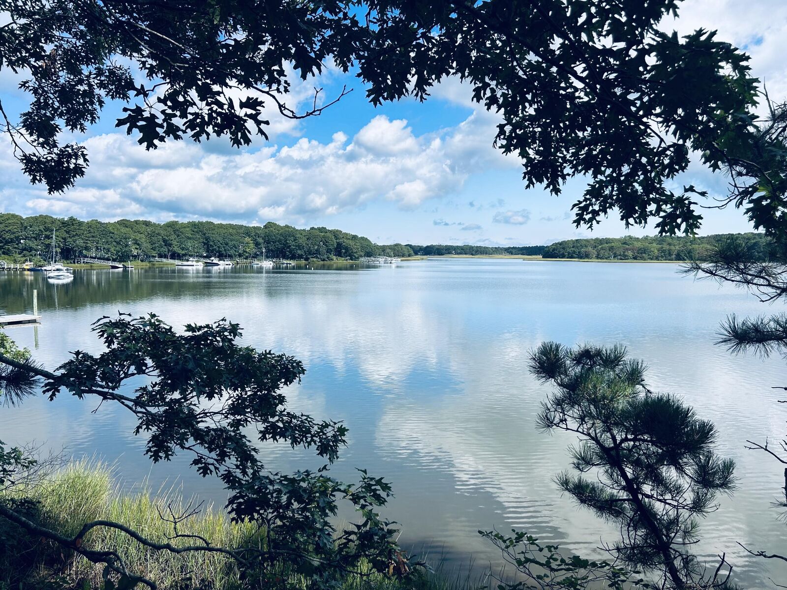 Property Photo:  71 Tide Run  MA 02649 