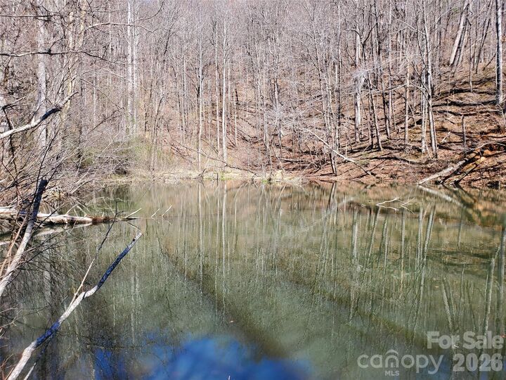Property Photo:  8057 Highway 16 Highway  NC 28654 