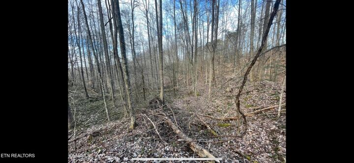 Property Photo:  150 Timber Oaks Lane  TN 37847 
