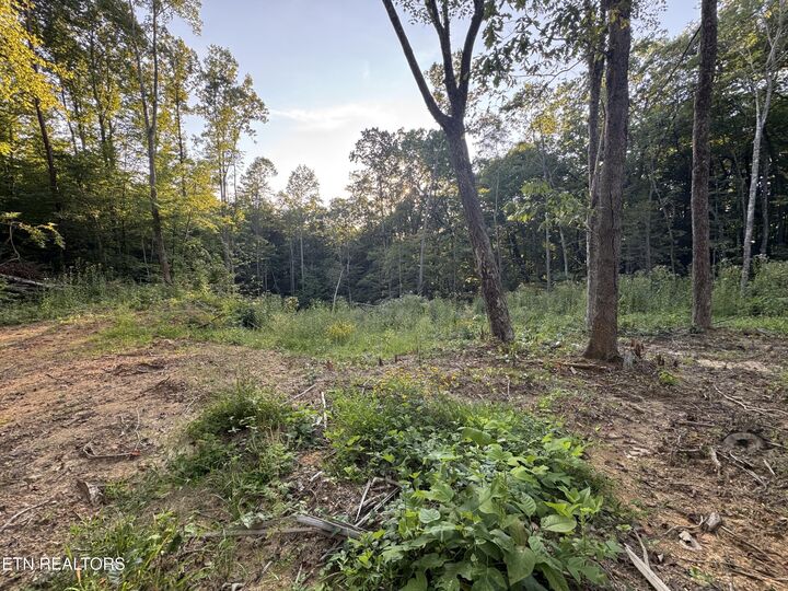 Property Photo:  150 Timber Oaks Lane  TN 37847 