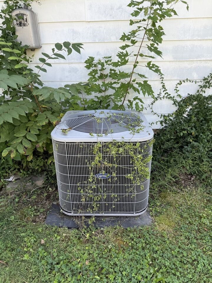 Property Photo: 203 N McLaren Street IL 62959