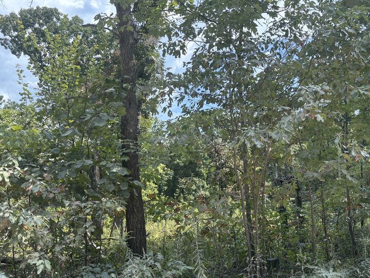 Property Photo:  37 Valley Loop  TN 38572 