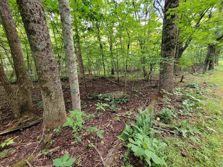 Property Photo:  Tbd Pin Oak Lane  VA 24079 