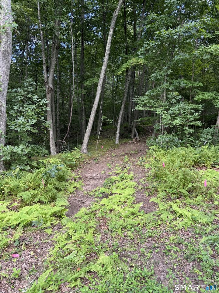 Property Photo:  Tater Hill Road  CT 06423 