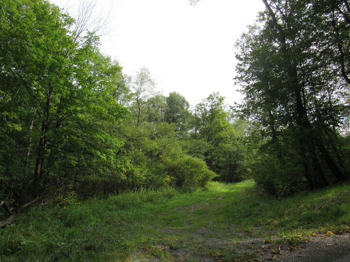 Property Photo:  Granville Rd  PA 15824 