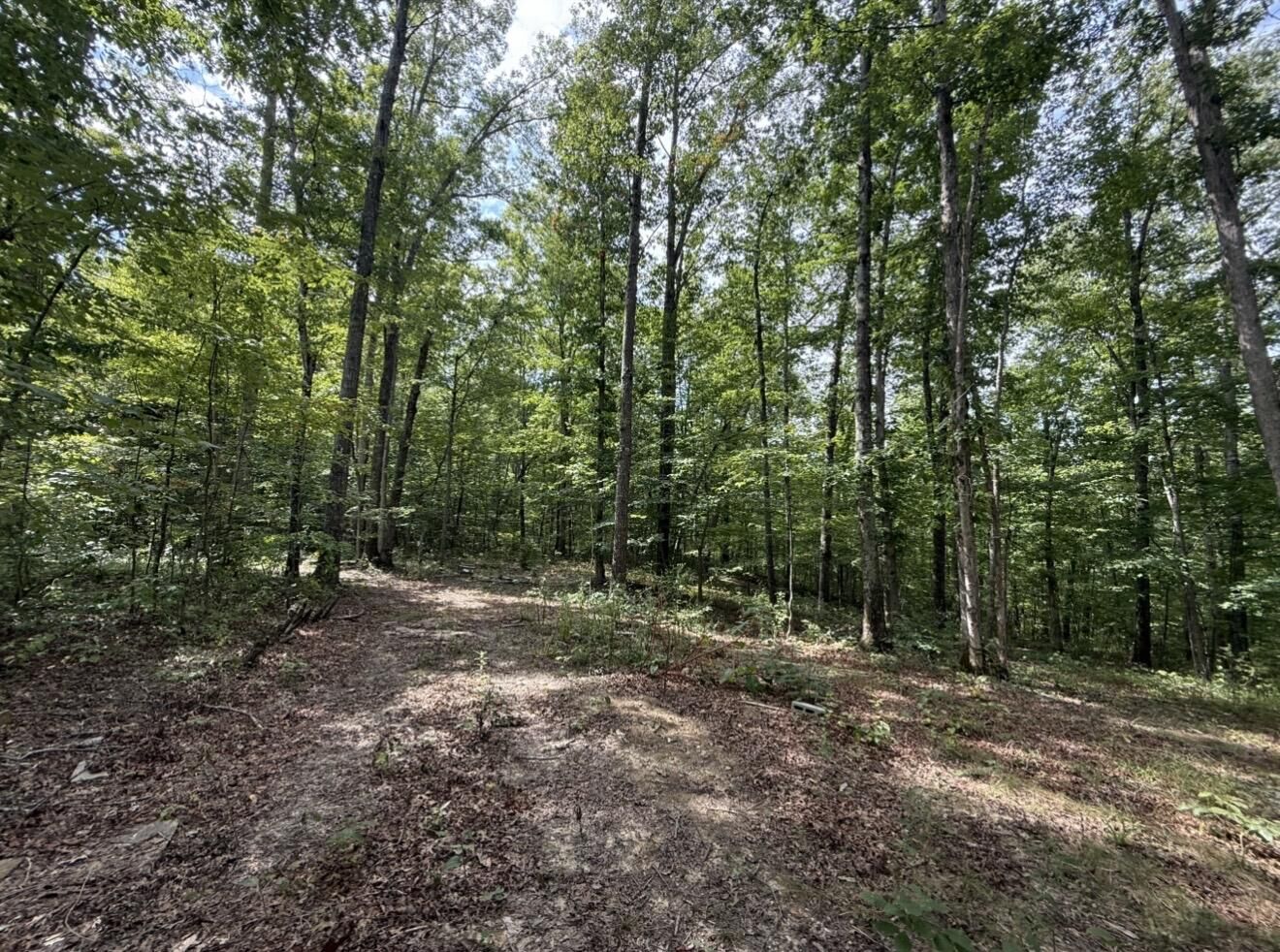 Property Photo: 0000 Shady Grove Road Lot 5 KY 40456