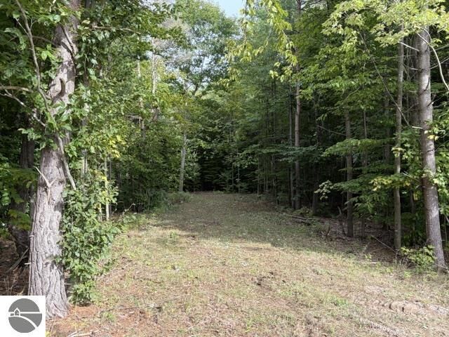 Property Photo: 000 Paradise Ridge Trail MI 49684