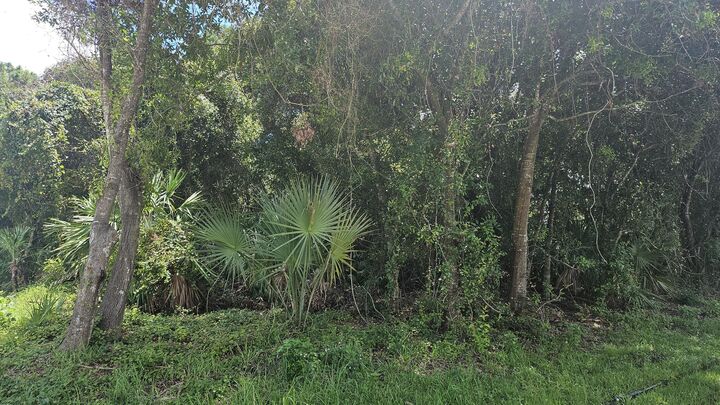 Property Photo:  1743 SW Day Street  FL 34953 