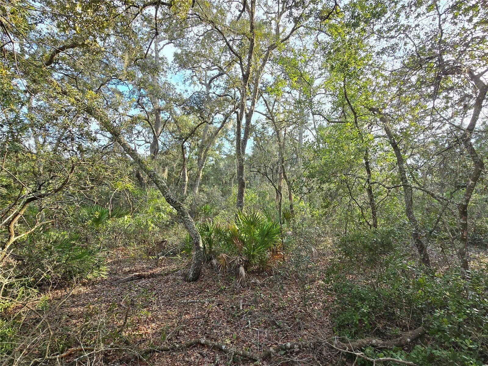 Property Photo:  Fisher Way  FL 32179 