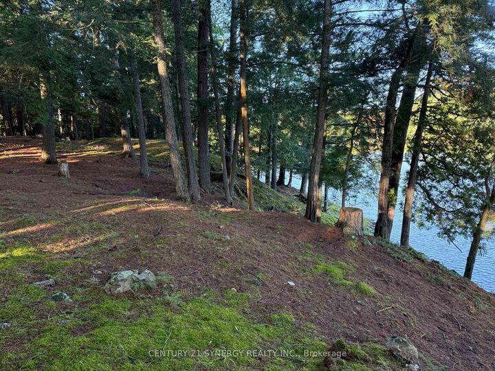 Photo de la propriété:  218 Lee Trail Lane  ON K7H 3C7 