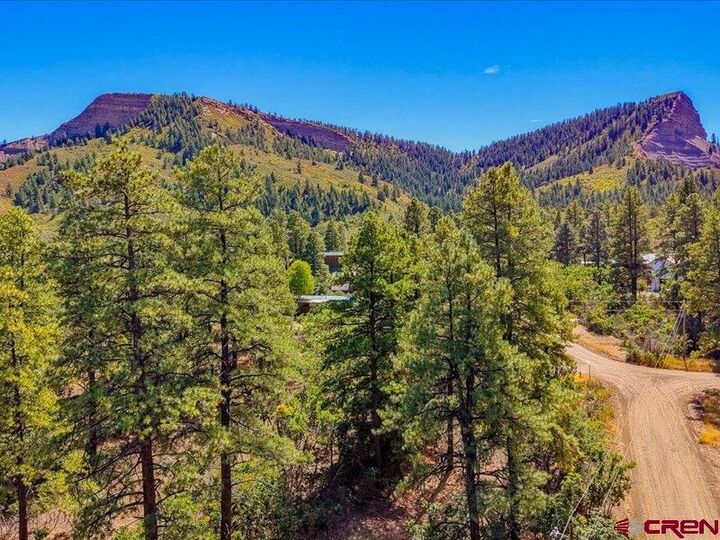Property Photo:  876 Evergreen Drive  CO 81147 