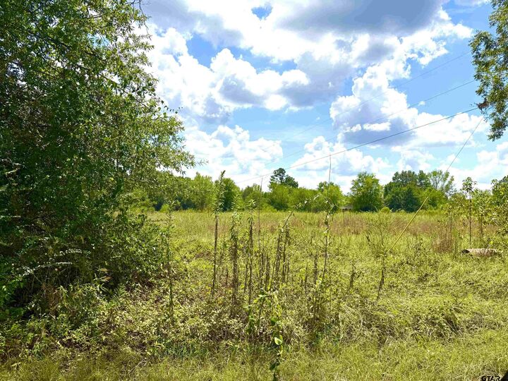 Property Photo:  215 E Henderson St  TX 75784 