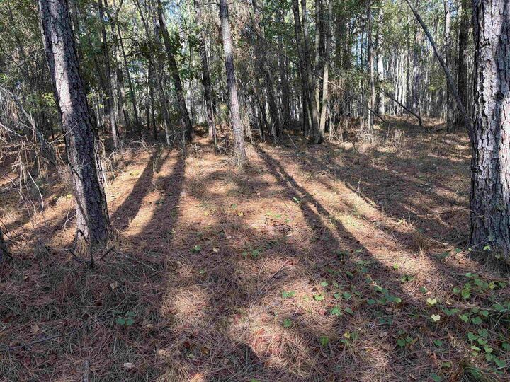 Property Photo: 672 Twin Bridges Road GA 31024