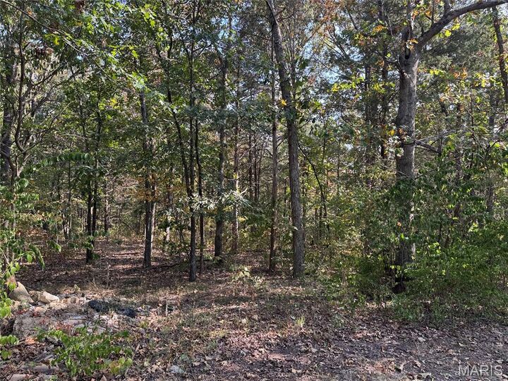 Property Photo:  11679 State Route 21  MO 63050 
