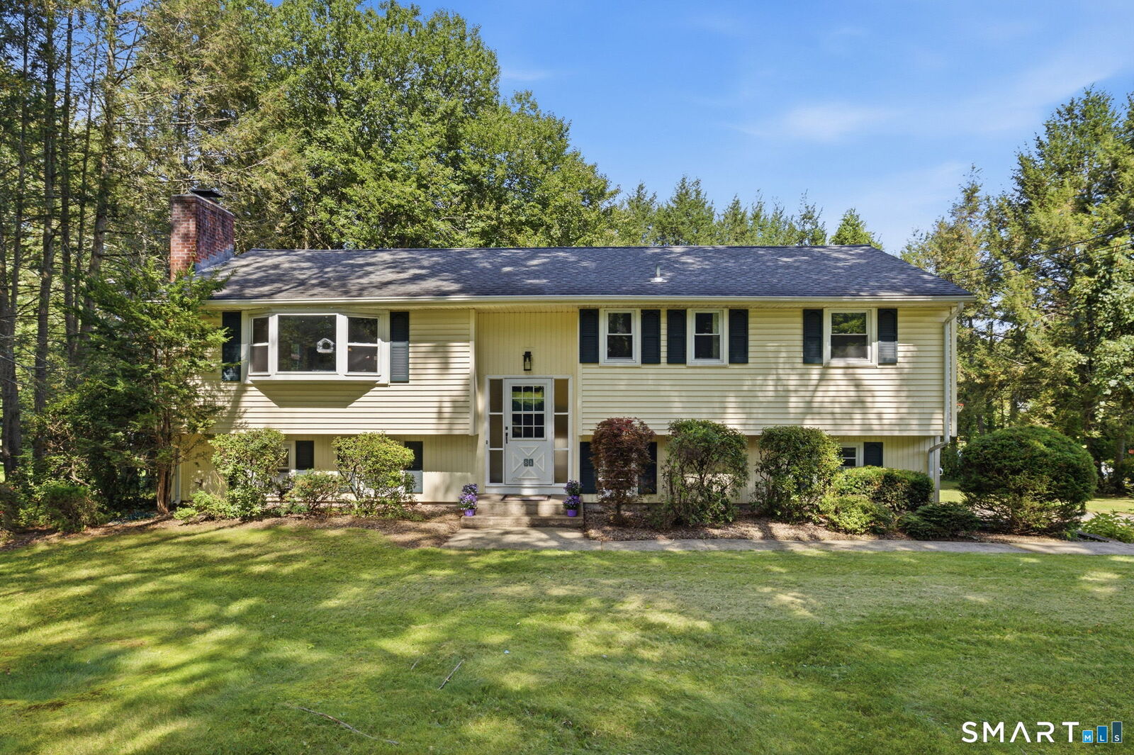 Property Photo: 81 Warren Avenue CT 06066
