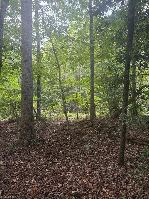 Property Photo:  Lot 5 Edgewood Road  NC 28697 
