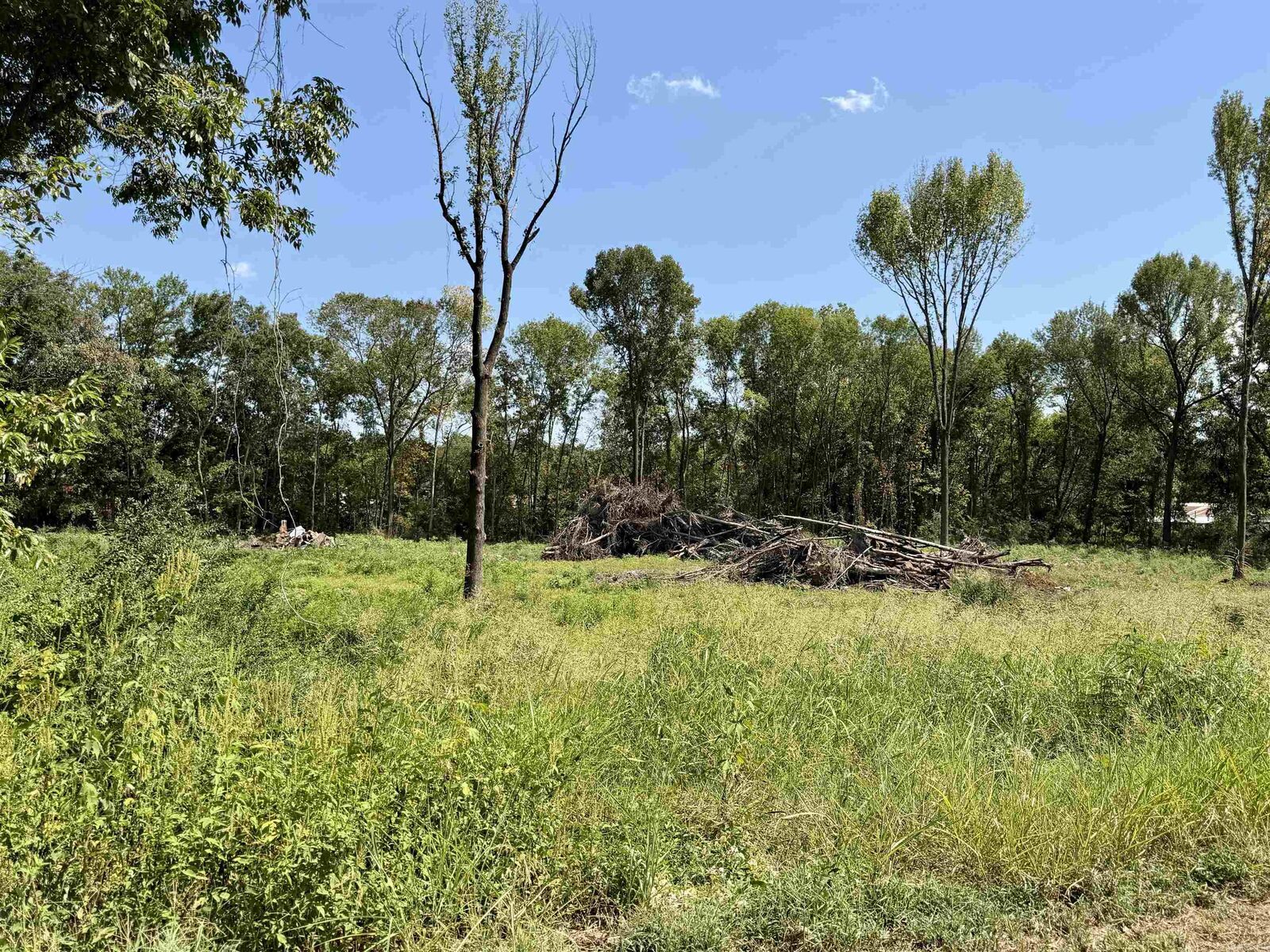 Property Photo:  409 S Patton St  AR 72830 