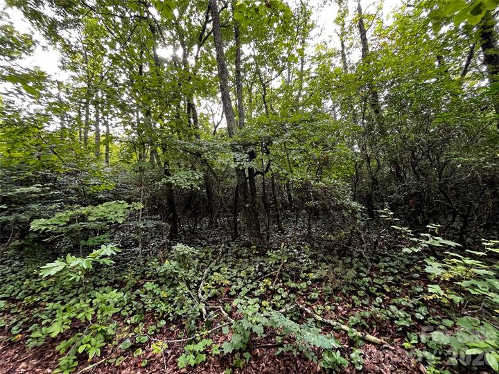Property Photo:  462 Autumn Forest Drive  NC 28735 