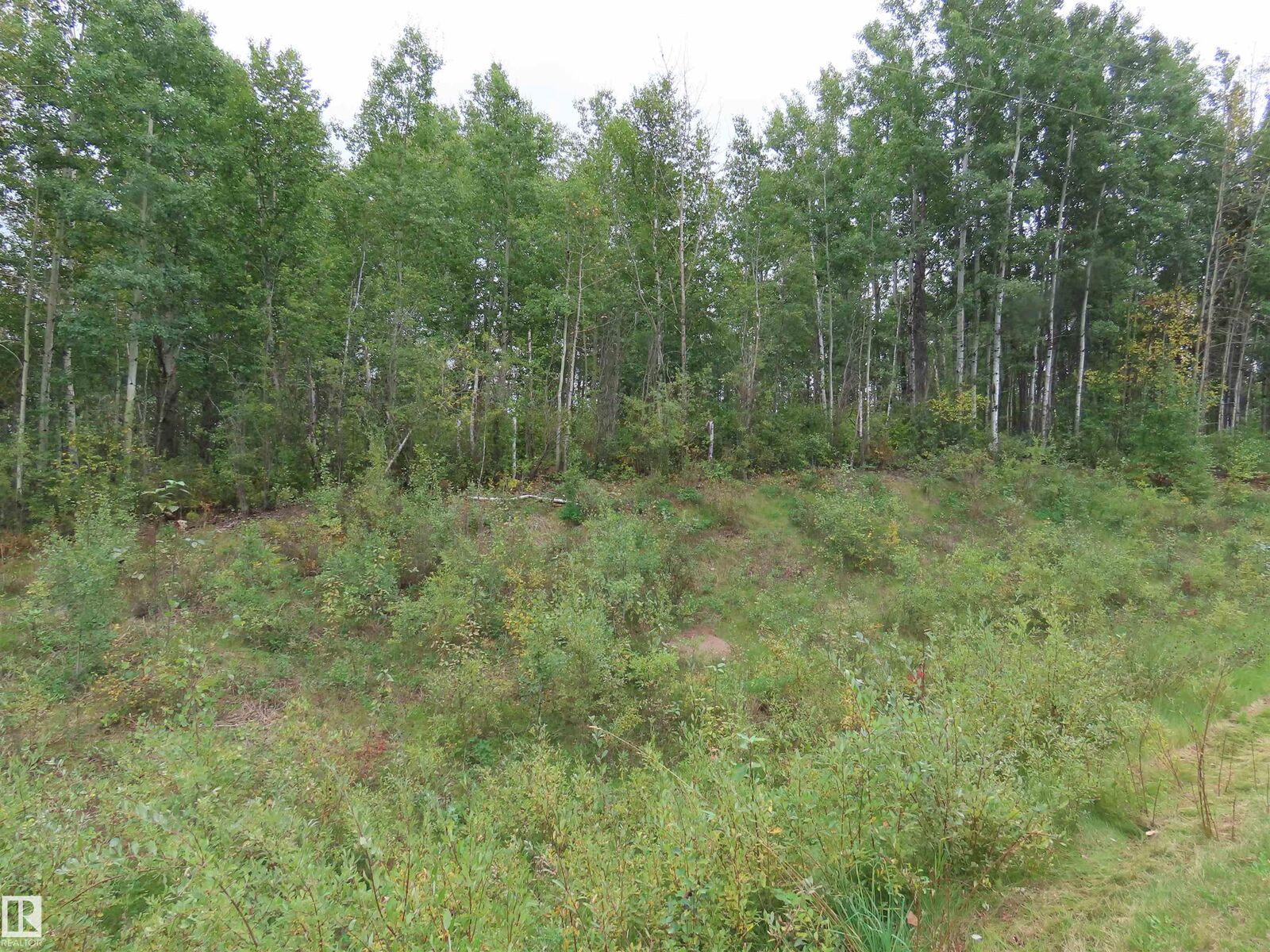 Property Photo:  2406 Twp Road 540 15  AB T0E 1V0 