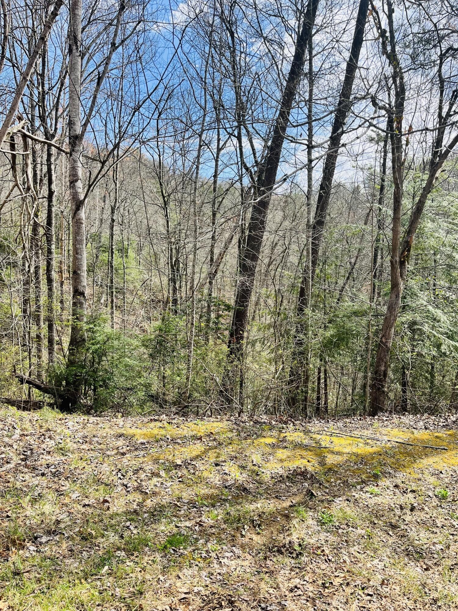 Property Photo: 3 Sassafras Trail TN 37876