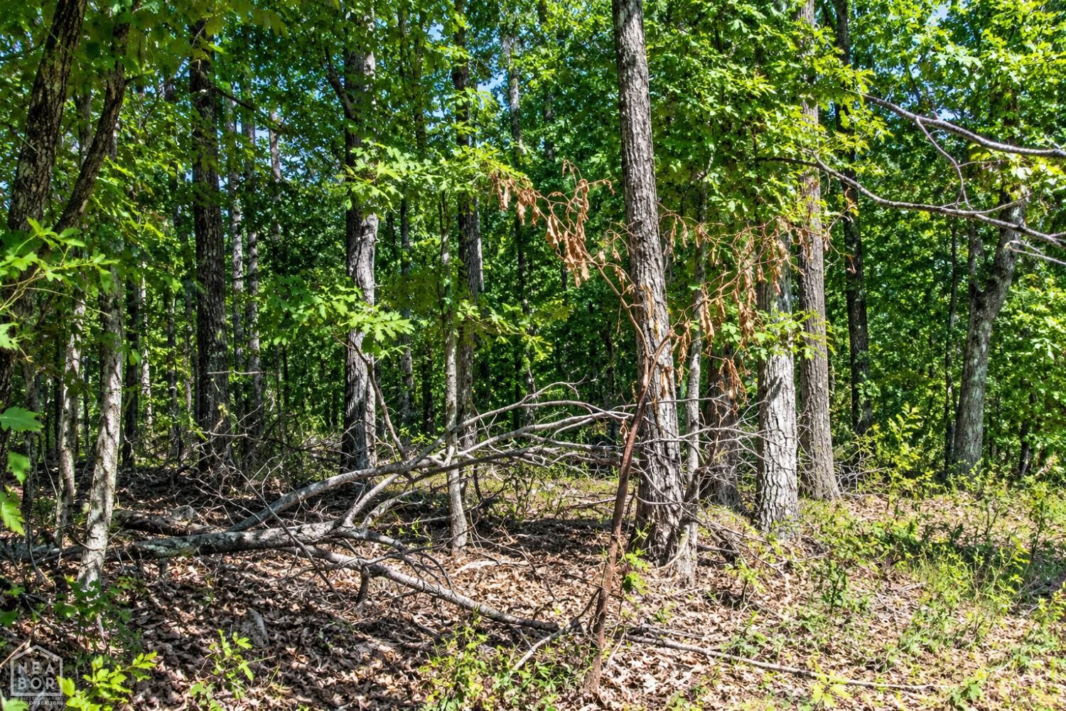 Property Photo: 21 Cooper Point AR 72560
