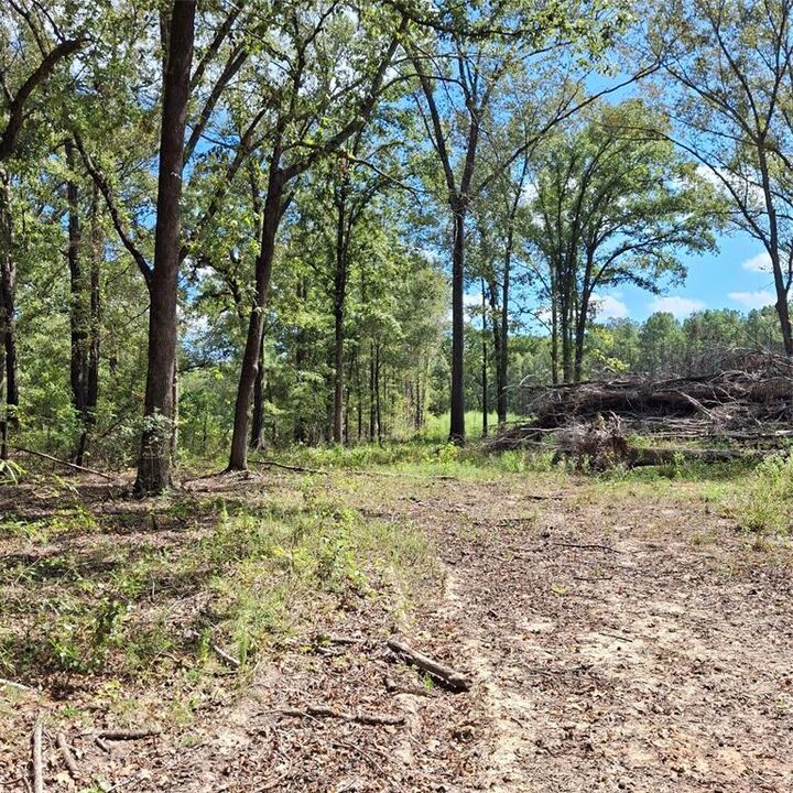 Property Photo: 1068 Goathill Road LA 71051