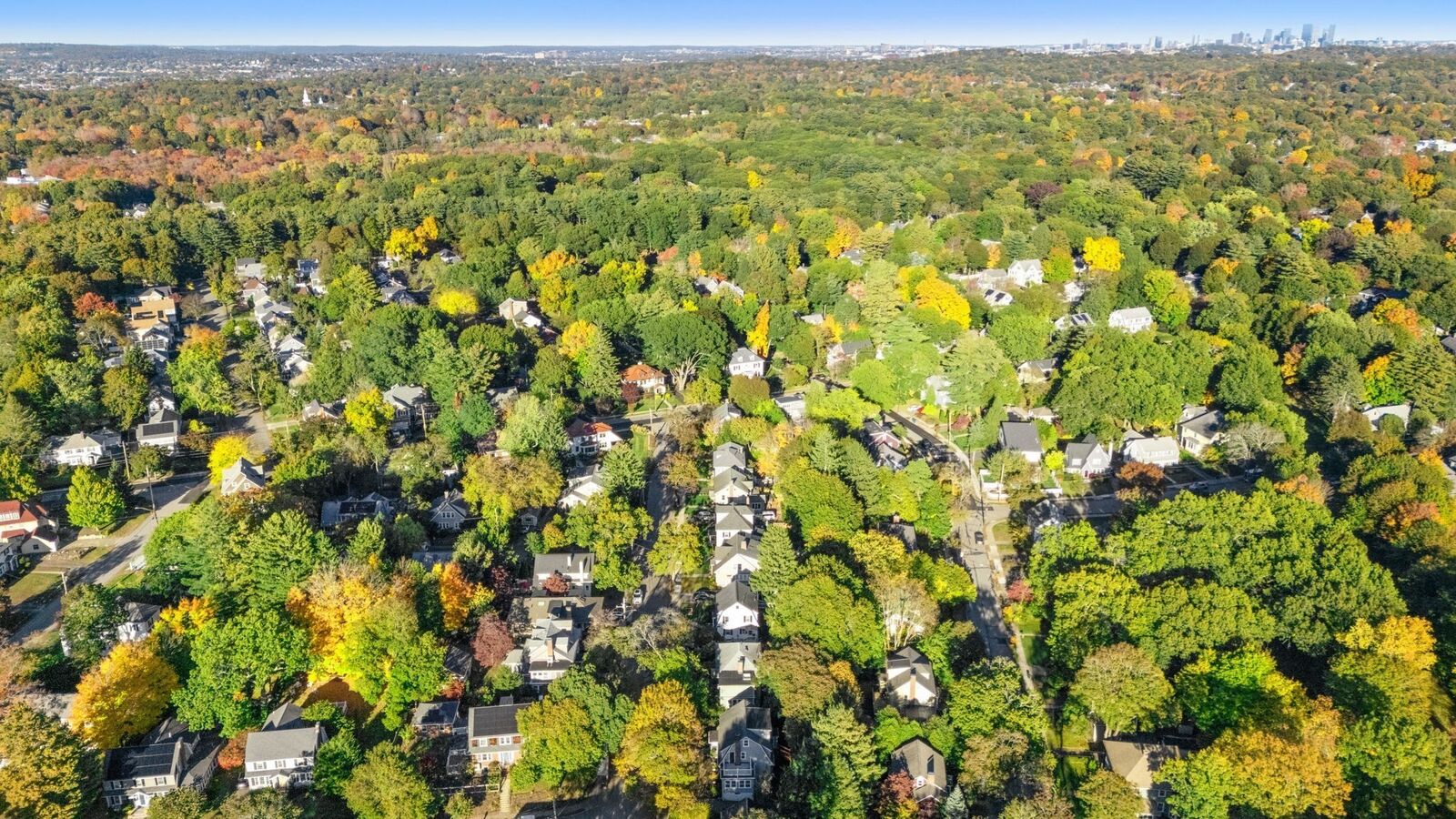 Property Photo:  44 Brewster Road  MA 02461 