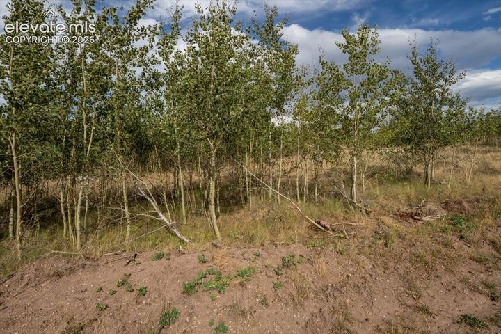 Property Photo:  Lot 1316 Biaggini Lane  CO 81133 