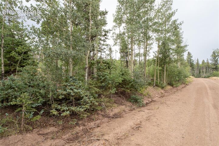 Property Photo:  Lot 2571 Andes Loop  CO 81133 
