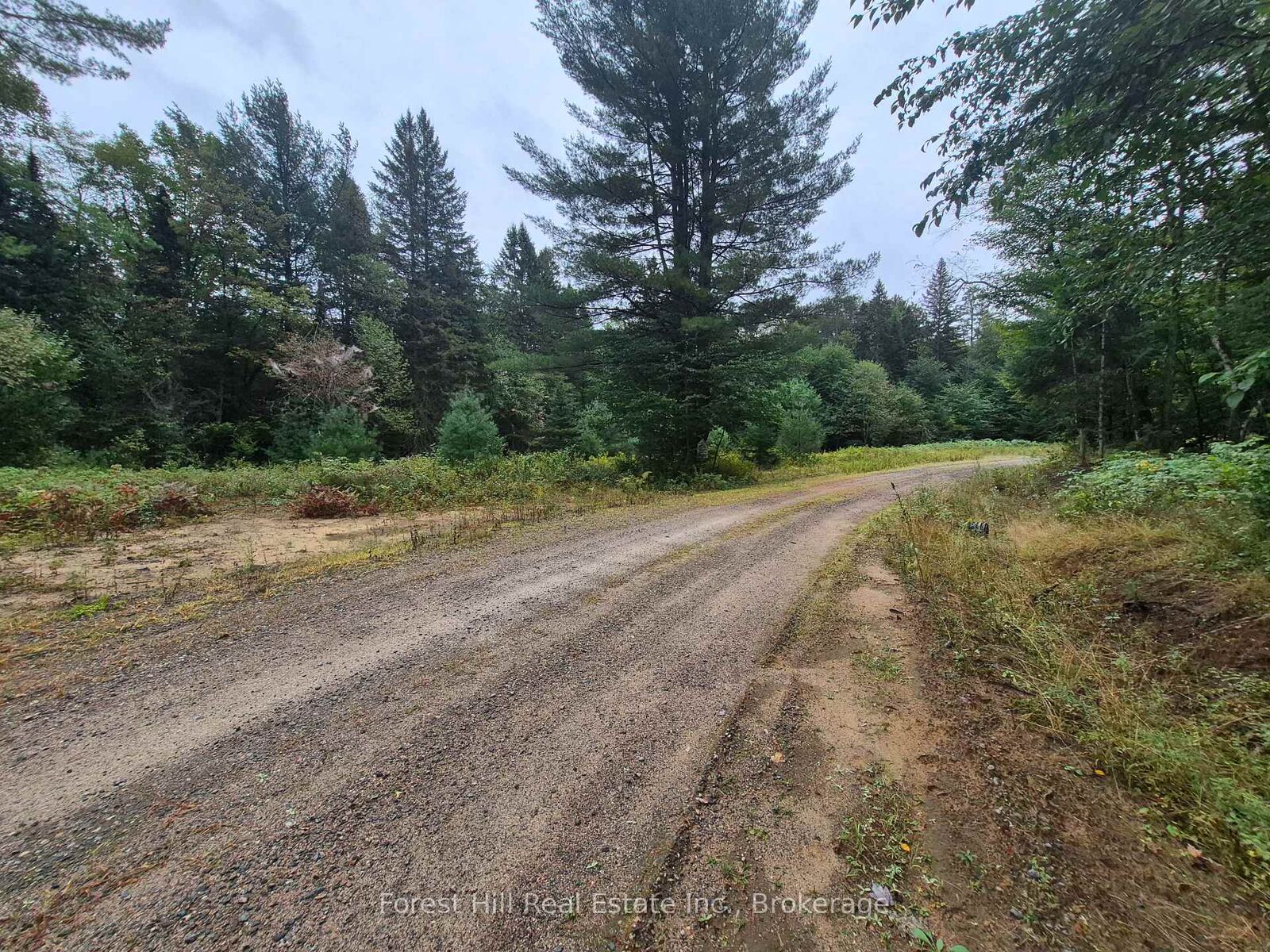 Property Photo:  335 Woodland Drive  ON P0P 1B0 