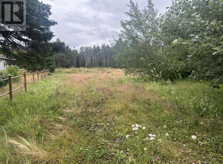 Property Photo:  19 Dobbin's Road  NL A0A 4H0 