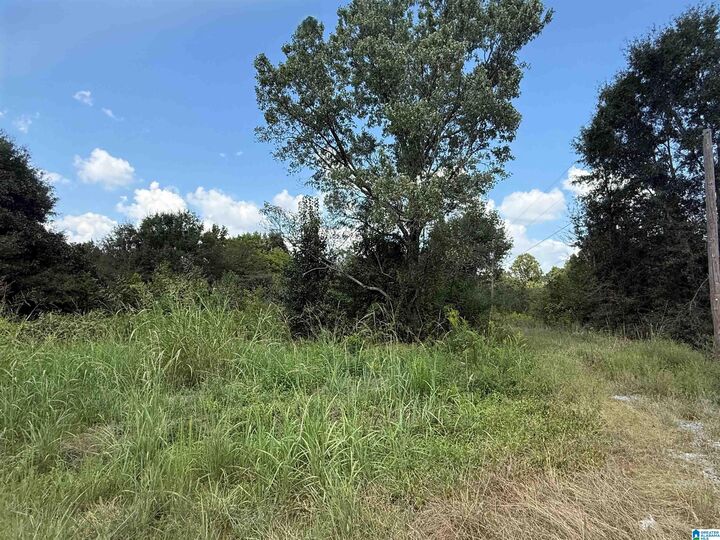 Property Photo:  4.6 Highway 278 1  AL 35055 