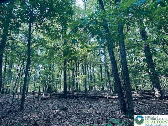 Property Photo:  4440 Sheep Rock Road  PA 18062 