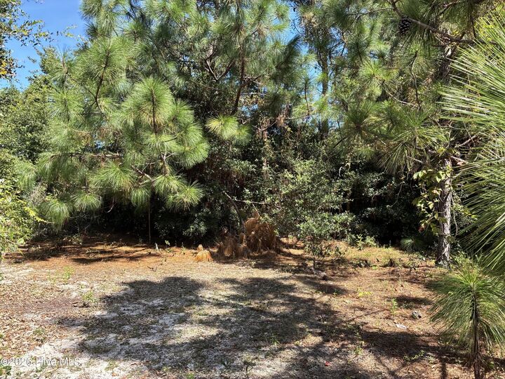 Property Photo: 421 21 Bobby Jones Drive NC 28412