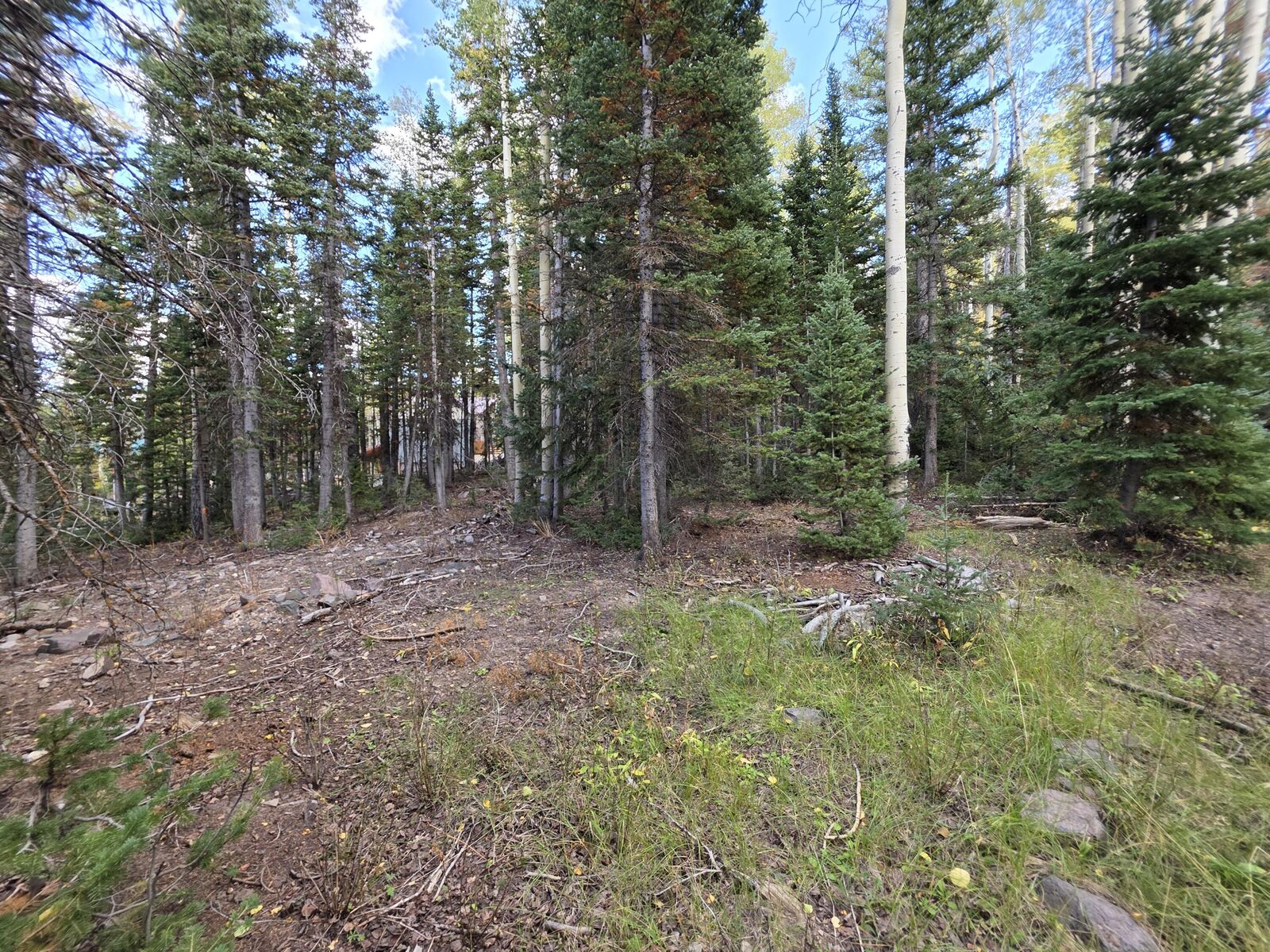 Property Photo: 214 E Deer Trail Rd UT 84719