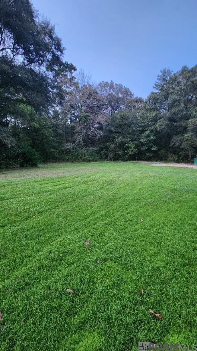 Property Photo:  35238 Curtis Dr  LA 70706 