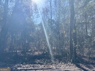 Property Photo: 138-140 Dogwood Lane GA 31320