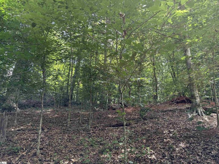 Property Photo: Lenhardt Road SC 29640