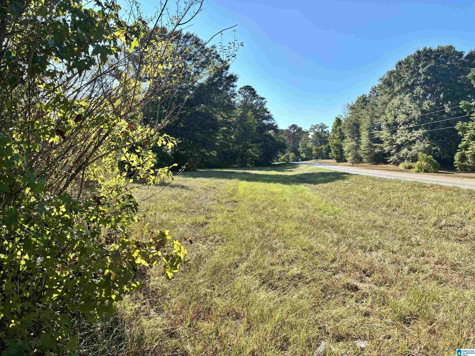 Property Photo:  0 County Road 24 1  AL 36091 