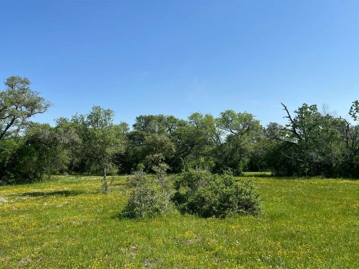 Property Photo: 0 Pintail Lane TX 78934