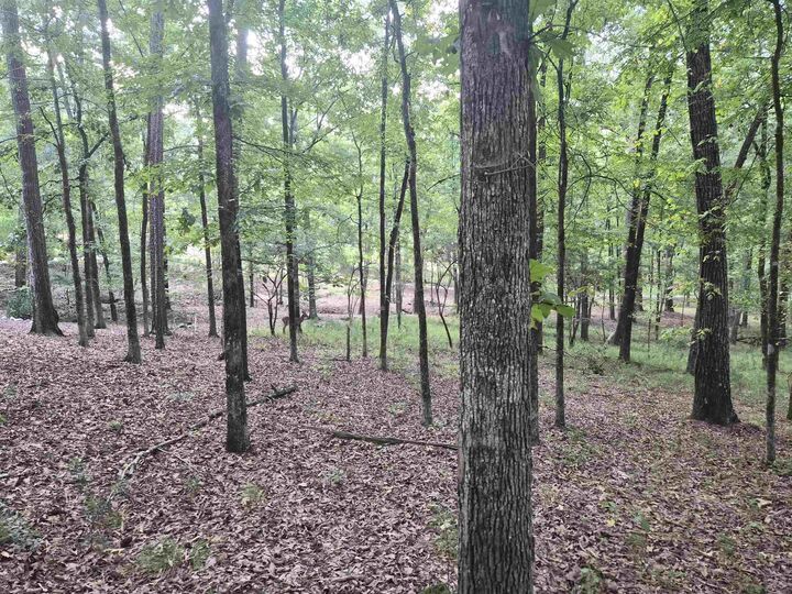 Property Photo: 1100 Centennial Post GA 30642