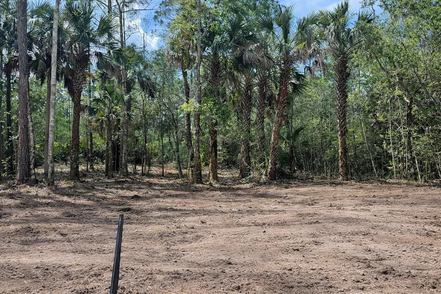 Property Photo:  2216 Laurel Avenue  FL 32110 