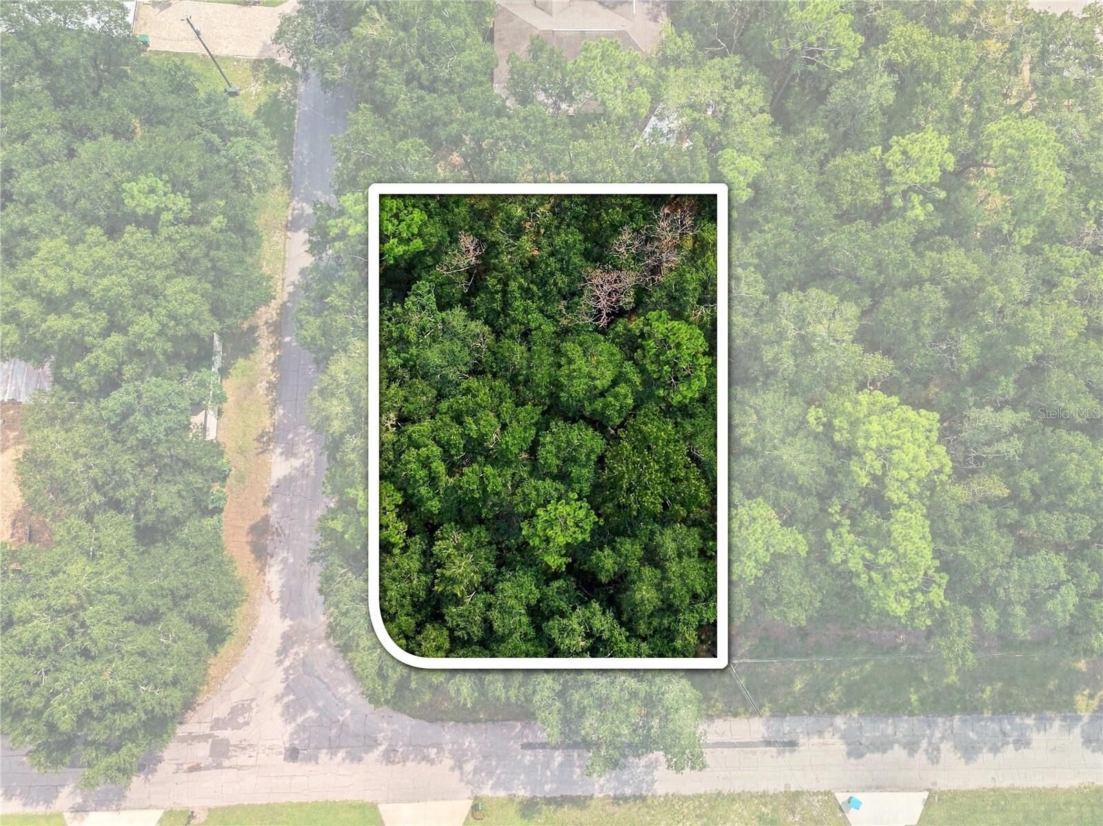 Property Photo:  1614 W Hill Lane  FL 34434 