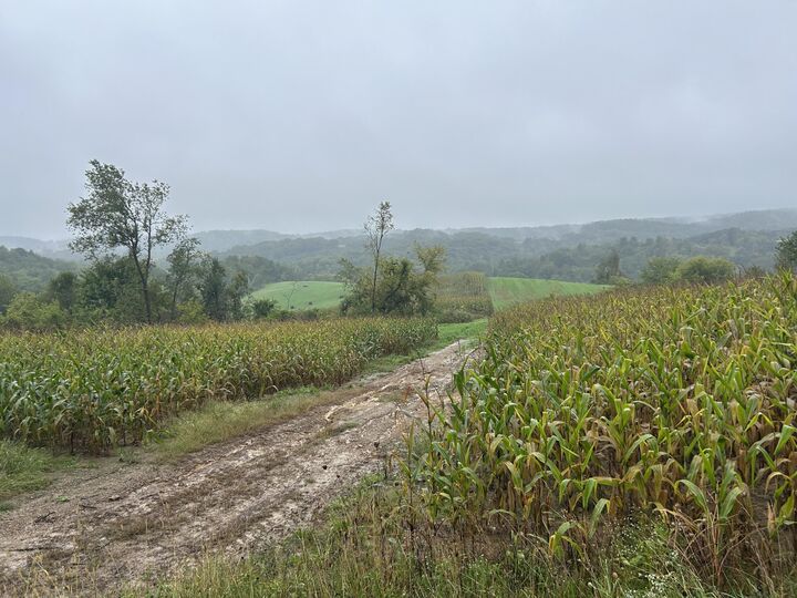 Property Photo: W8978 Preuss Rd WI 53929