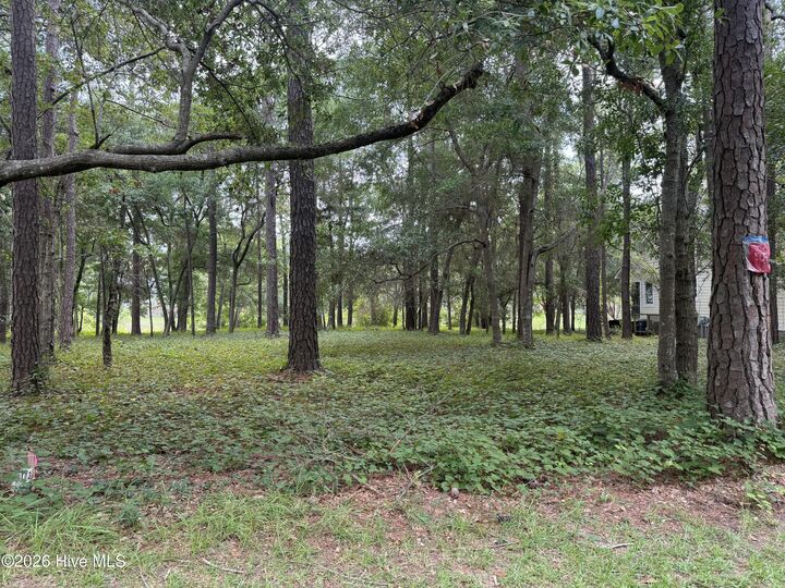 Property Photo:  3055 103 Channel Drive SE  NC 28422 